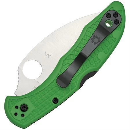 Spyderco 88FPWCGR2 Salt 2 Lockback Knife - Image 2